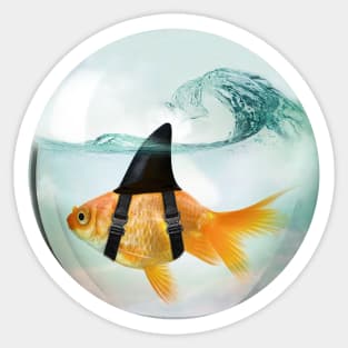 Goldfish with a Shark Fin Riding a Wave Sticker